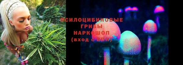 таблы Алексин