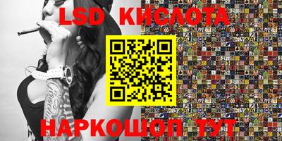 дмт Шелехов