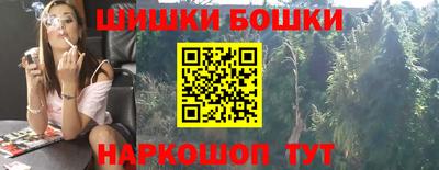 дмт Шелехов