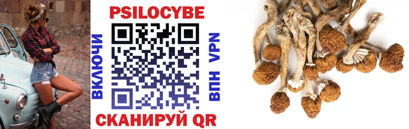 купить наркотики цена  Саки  Псилоцибиновые грибы мицелий 