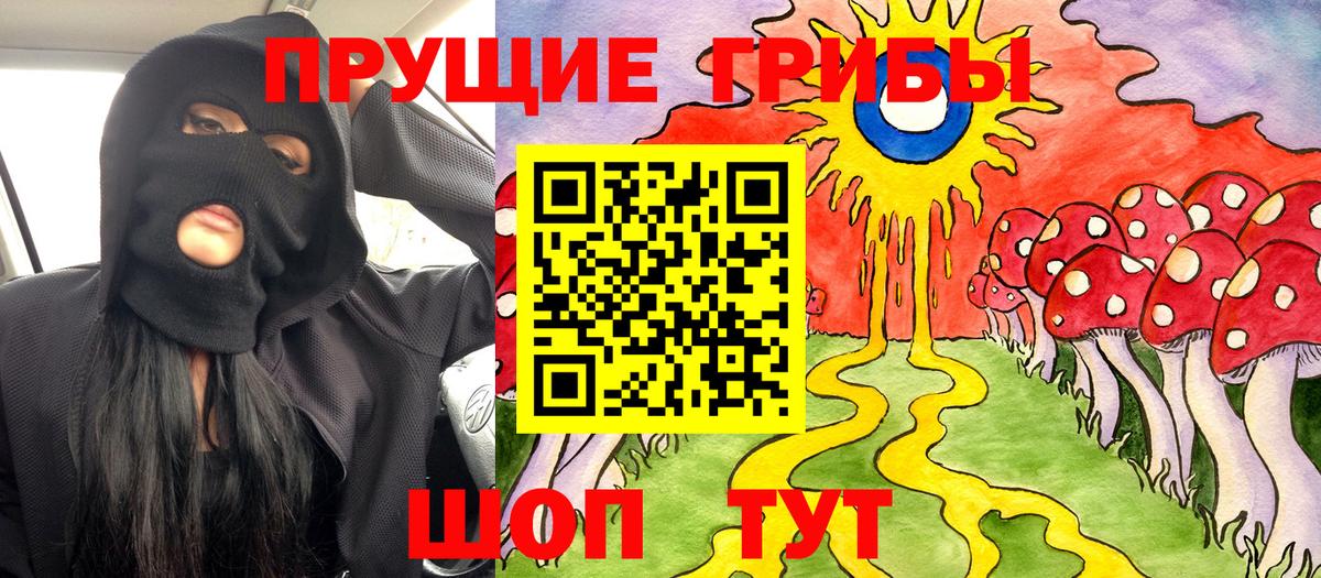 Псилоцибиновые грибы Cubensis Саки