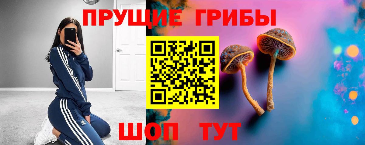 Саки  Галлюциногенные грибы GOLDEN TEACHER  Вход с VPN 